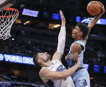 ag体育注册-14年丹佛掘金队